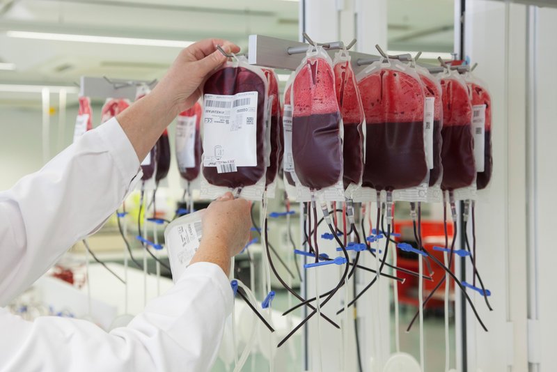 Blutprodukte Vollblut Blutprodukte Vollblut